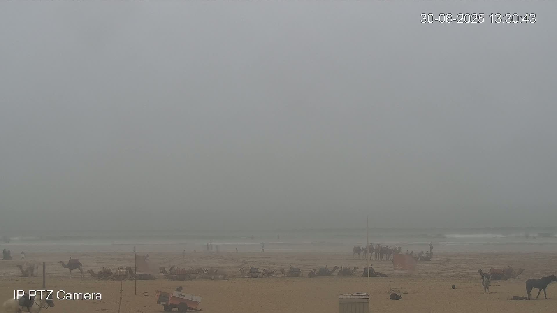 Essaouira- Suweyr, Plage Targathe Beach Live Cam - Essaouira, Safi, Marrakesh-Safi, Morocco