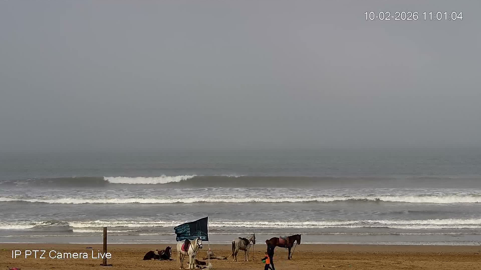 Essaouira- Suweyr, Plage Targathe Beach Live Cam - Essaouira, Safi, Marrakesh-Safi, Morocco