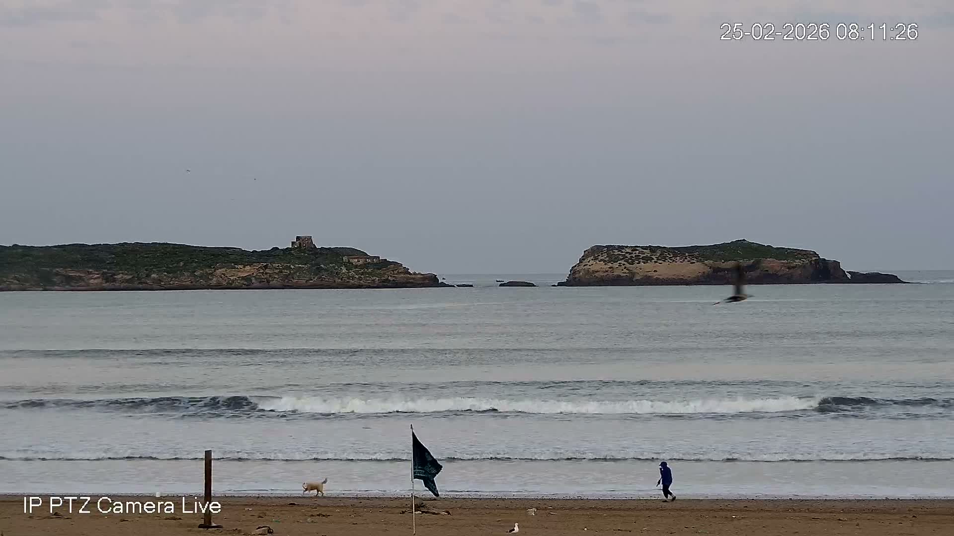 Essaouira- Suweyr, Plage Targathe Beach Live Cam - Essaouira, Safi, Marrakesh-Safi, Morocco