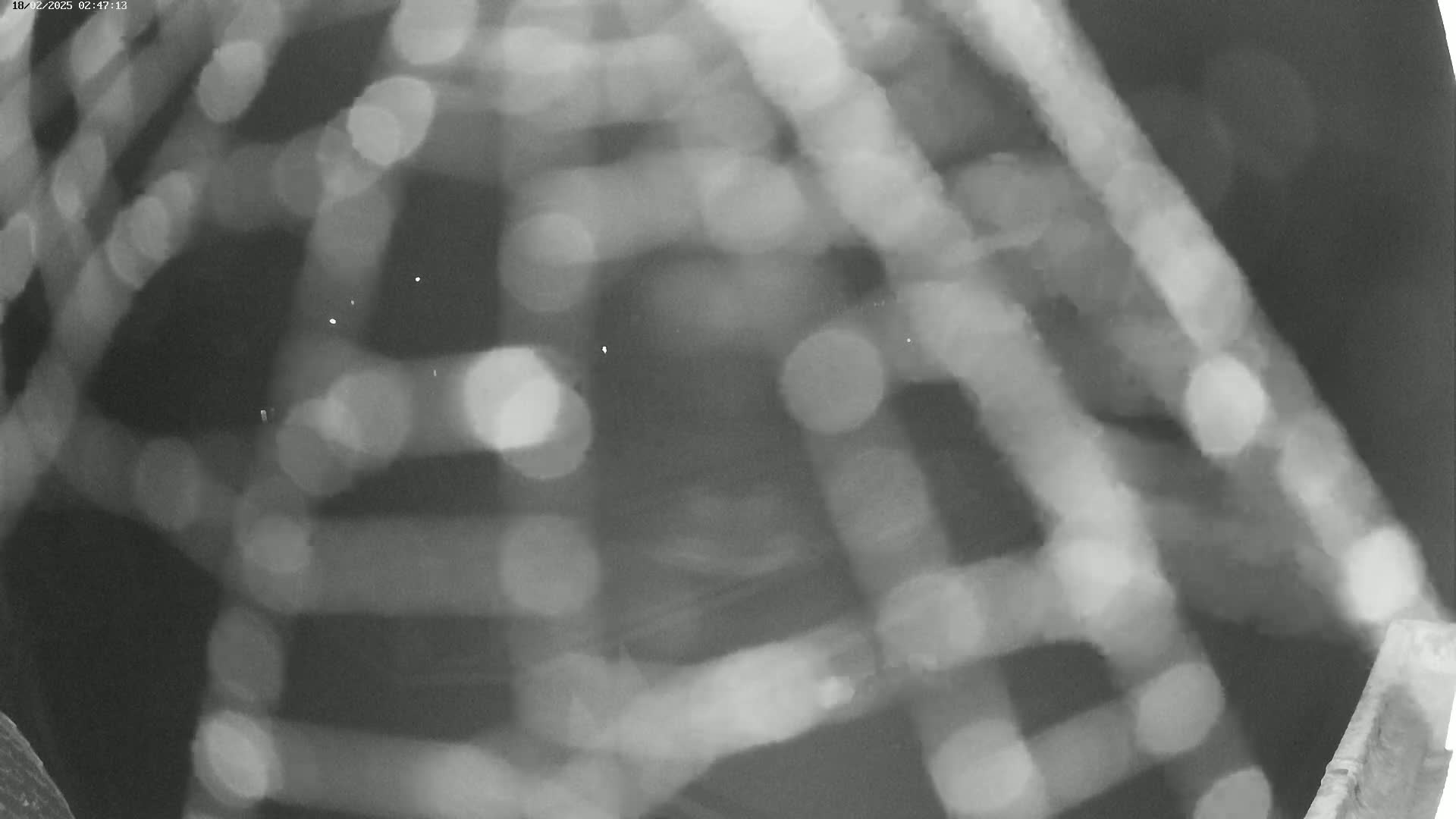 A blurry grayscale image shows a grid-like pattern with out-of-focus circular lights.
