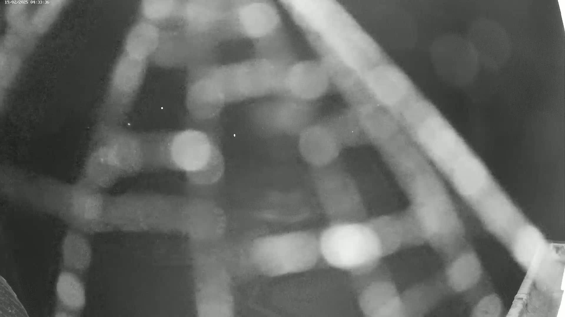 A blurry, out-of-focus nighttime image shows a network of crisscrossing lines and indistinct bright spots.