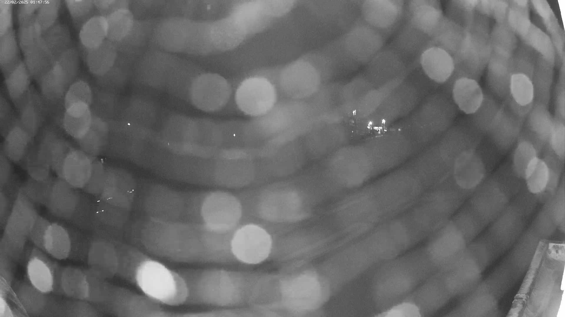 A blurry nighttime image shows out-of-focus lights in the background and what appears to be a dark, possibly wet, surface in the foreground.