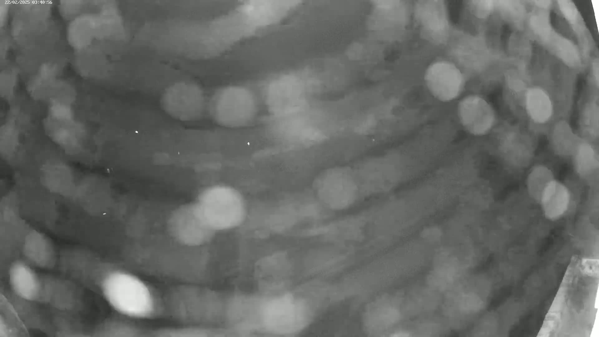 A blurry, grayscale image shows out-of-focus light sources resembling bokeh, possibly taken at night or in low-light conditions.