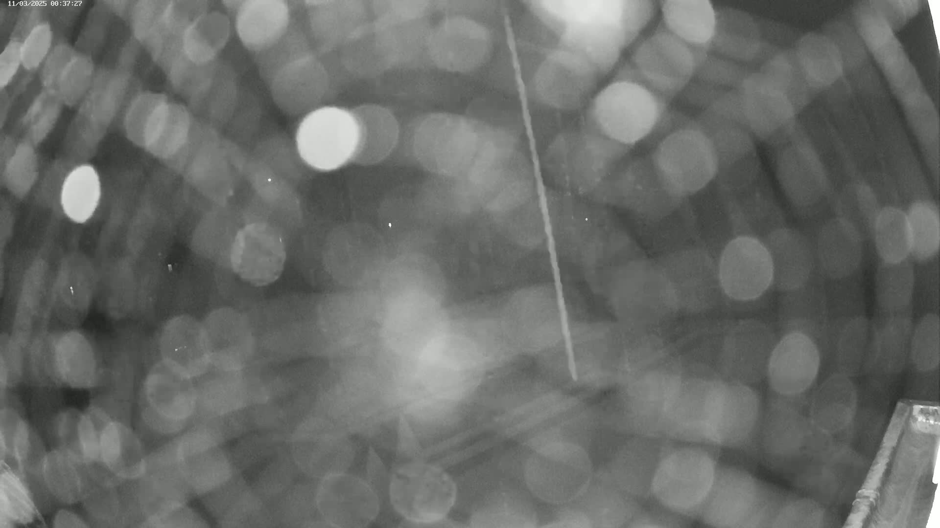 A blurry, nighttime image shows out-of-focus lights and what appears to be rain or snow on a dark surface.