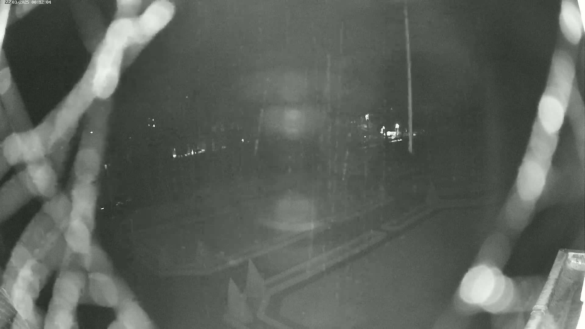 A nighttime, blurry view of a paved area, possibly a parking lot or road, seen through a screen or branches, with rain or snow falling.