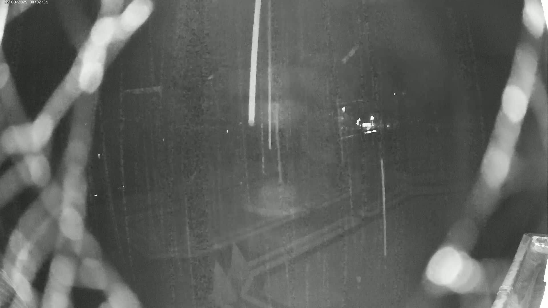 A blurry nighttime security camera image shows a roadway with some vehicles and light posts, partially obscured by branches in the foreground.