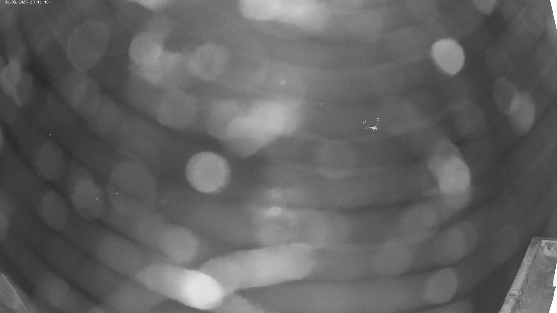 A blurry, grainy, black-and-white image shows a dark, possibly nighttime scene with out-of-focus lights.