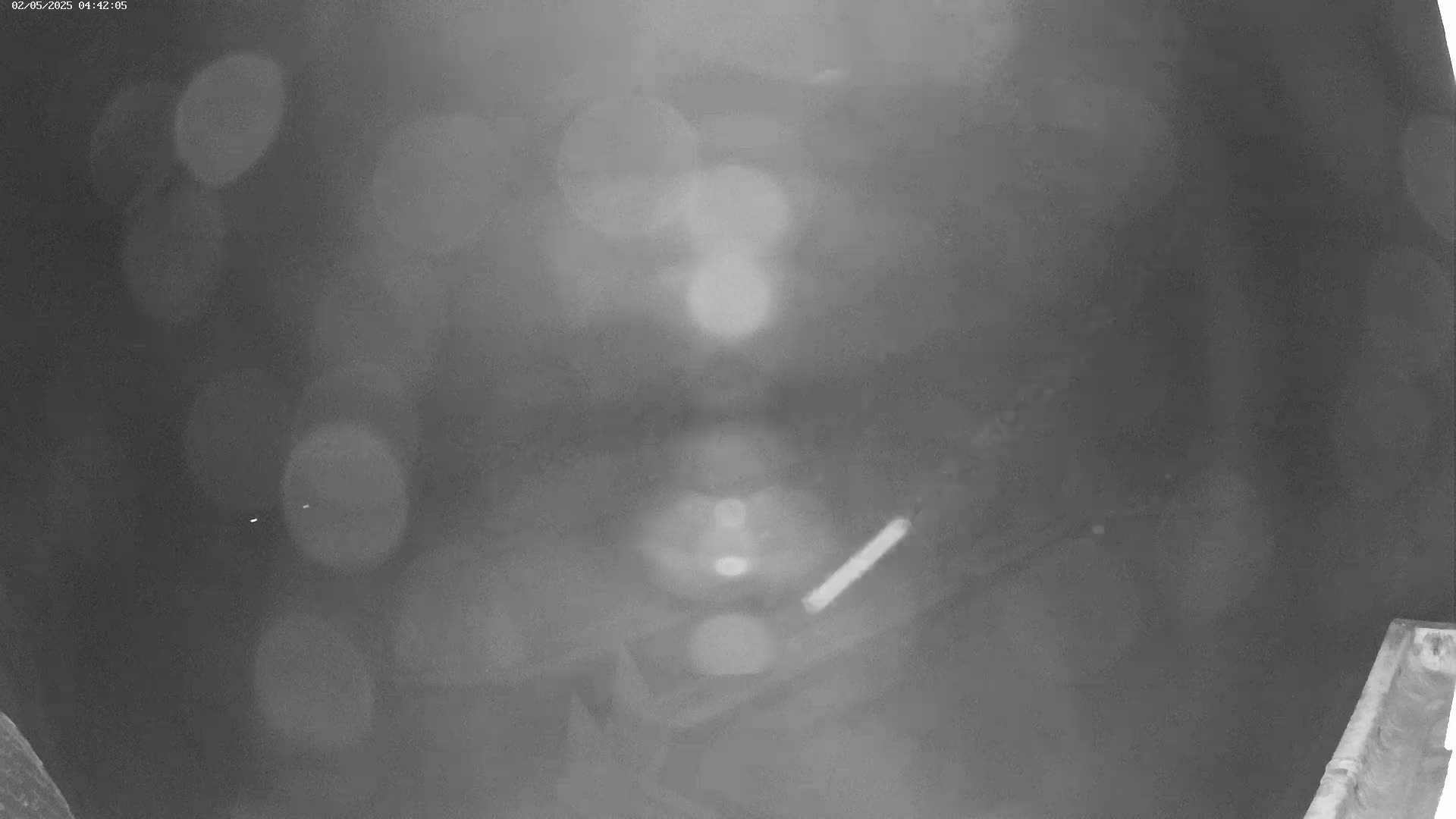 A blurry, grainy, grayscale image shows a dark, possibly nighttime scene with out-of-focus lights and a thin, light-colored object on the ground.