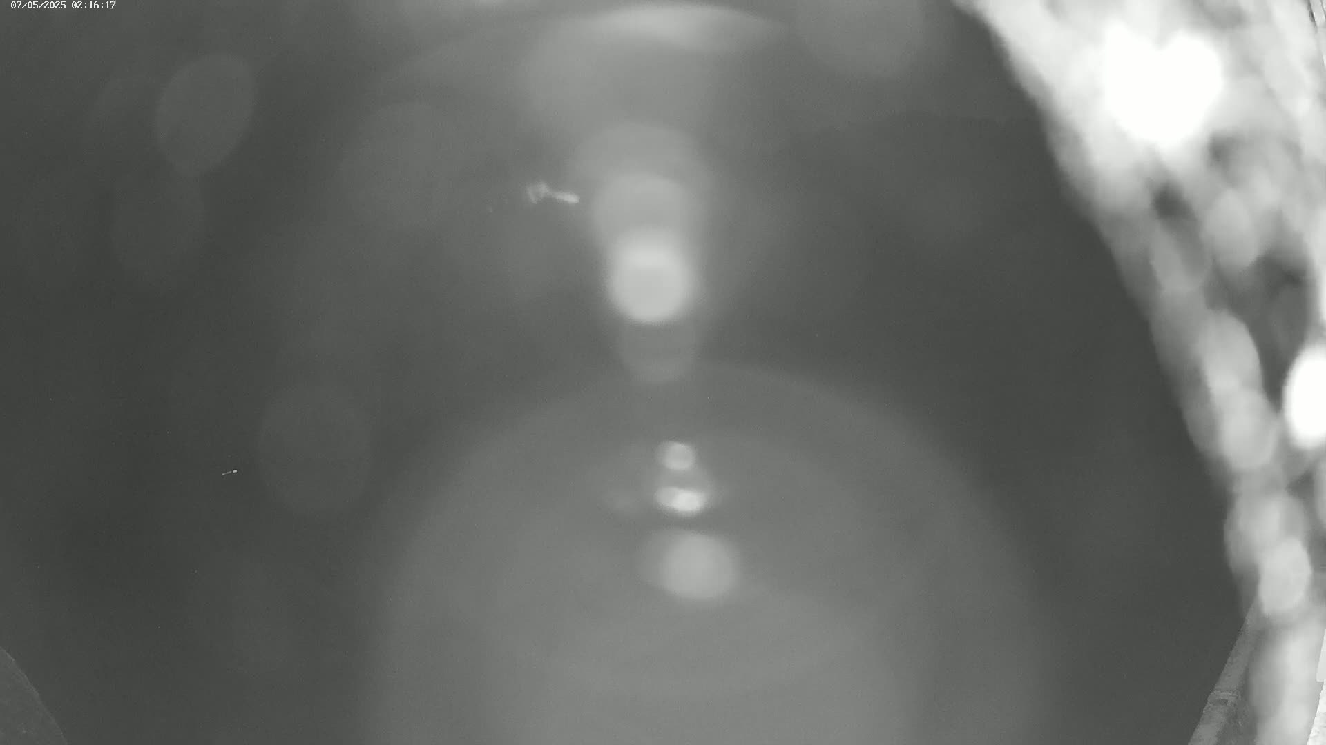 A blurry grayscale image shows an out-of-focus view of a dark surface with bright, indistinct spots of light.
