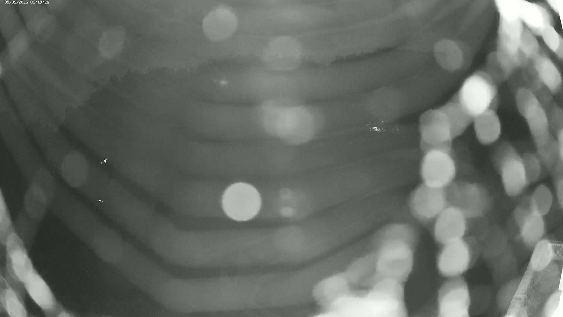 A blurry grayscale image shows out-of-focus horizontal lines, possibly water, with blurred lights in the background.