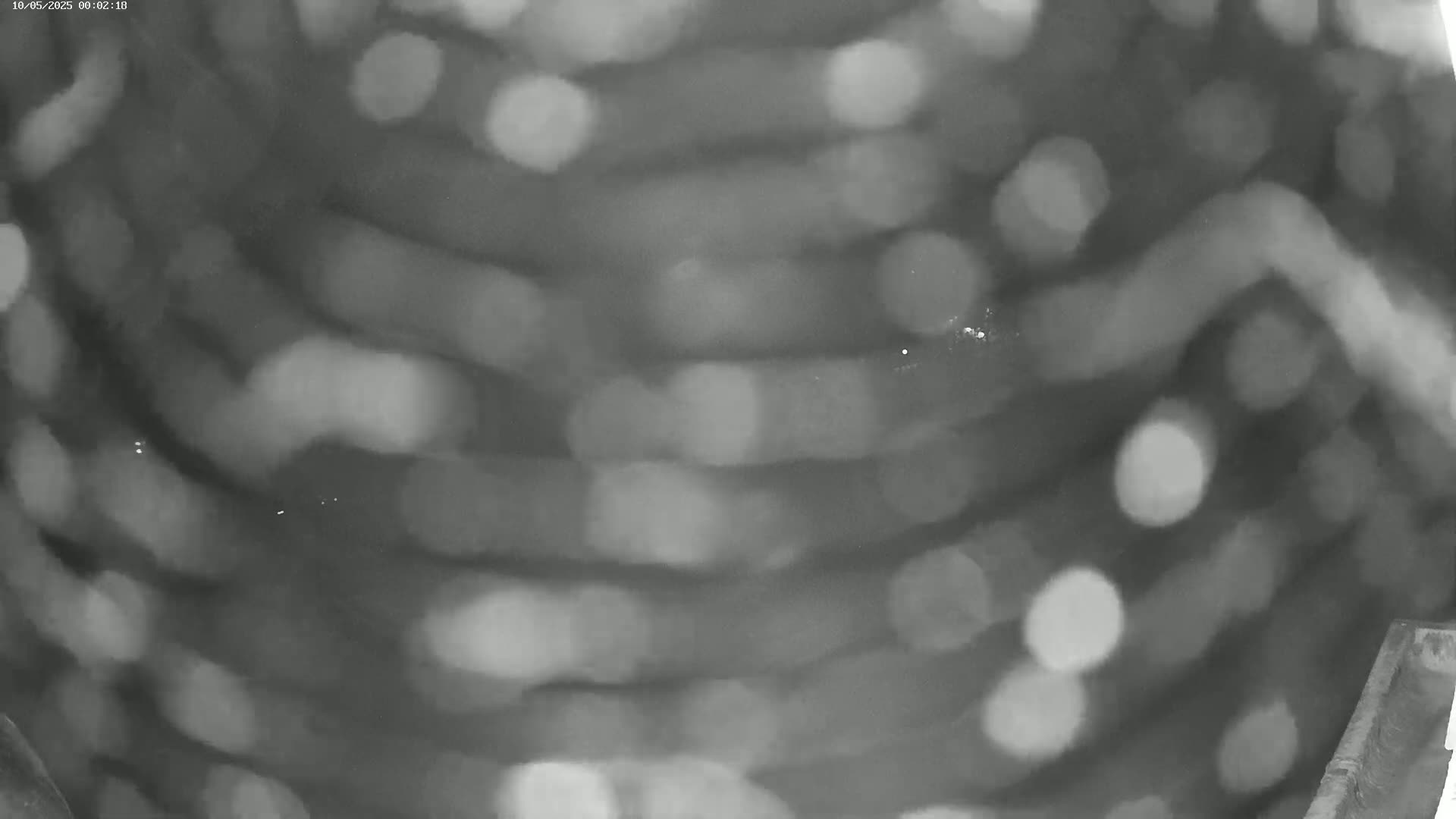 A blurry grayscale image shows out-of-focus horizontal lines and bright spots of light.