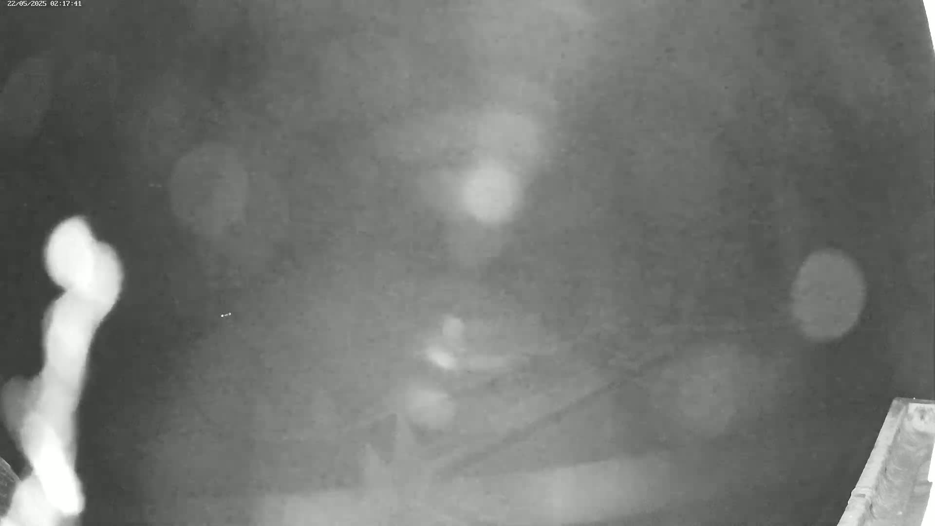 A blurry, grayscale image shows an indistinct figure at night in a dimly lit outdoor area with some out-of-focus light sources.