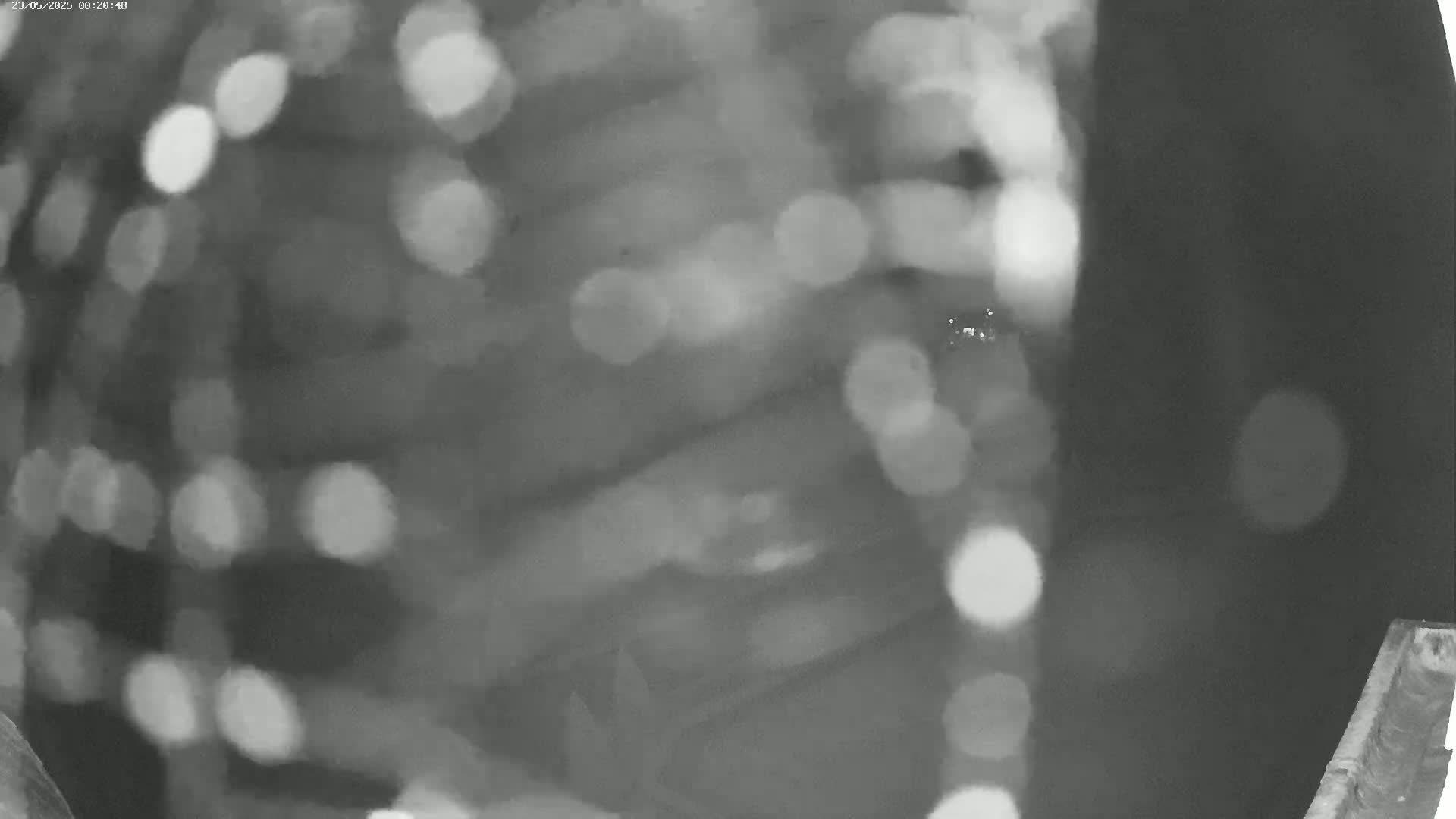 A blurry, nighttime image shows out-of-focus lights and a dark, indistinct background.