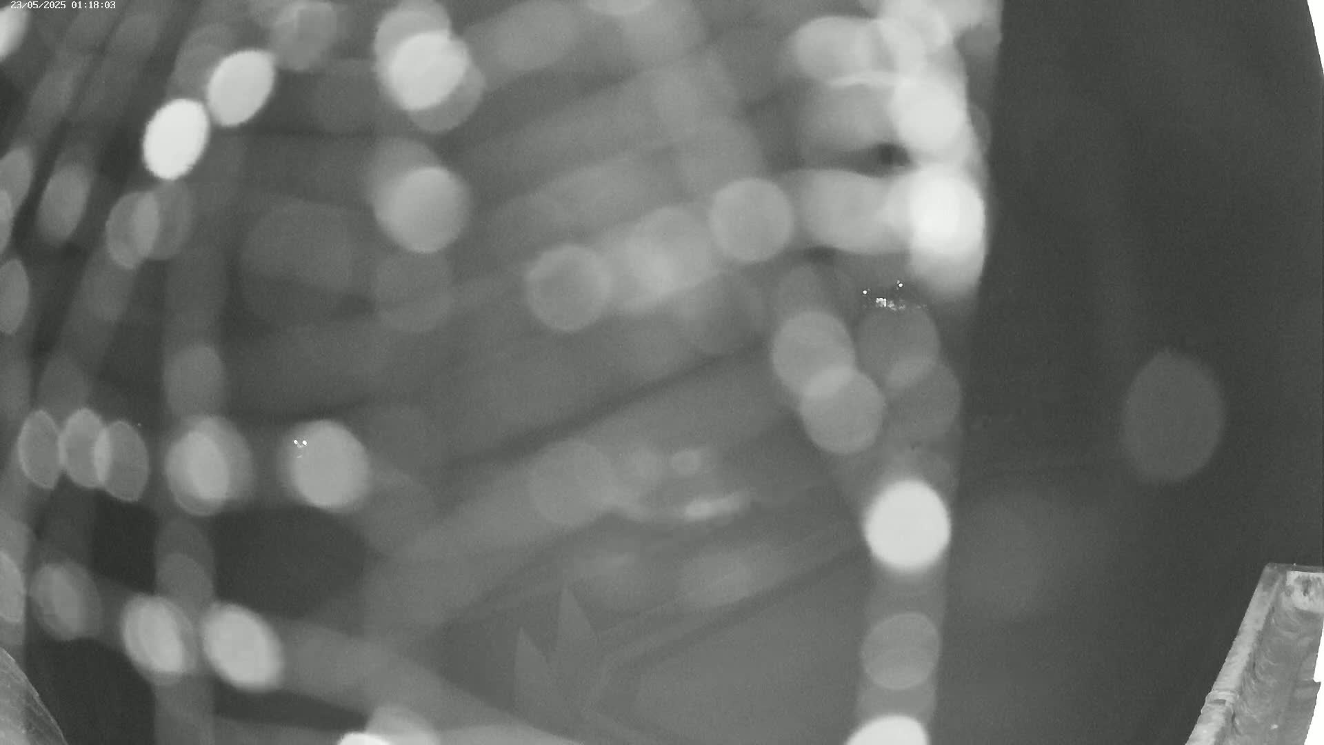 A blurry, nighttime image shows out-of-focus lights and a dark, indistinct object in the foreground.
