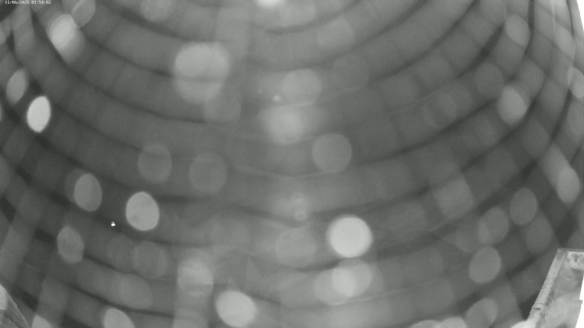 A blurry grayscale image shows a curved, ribbed surface with out-of-focus light sources scattered across it.