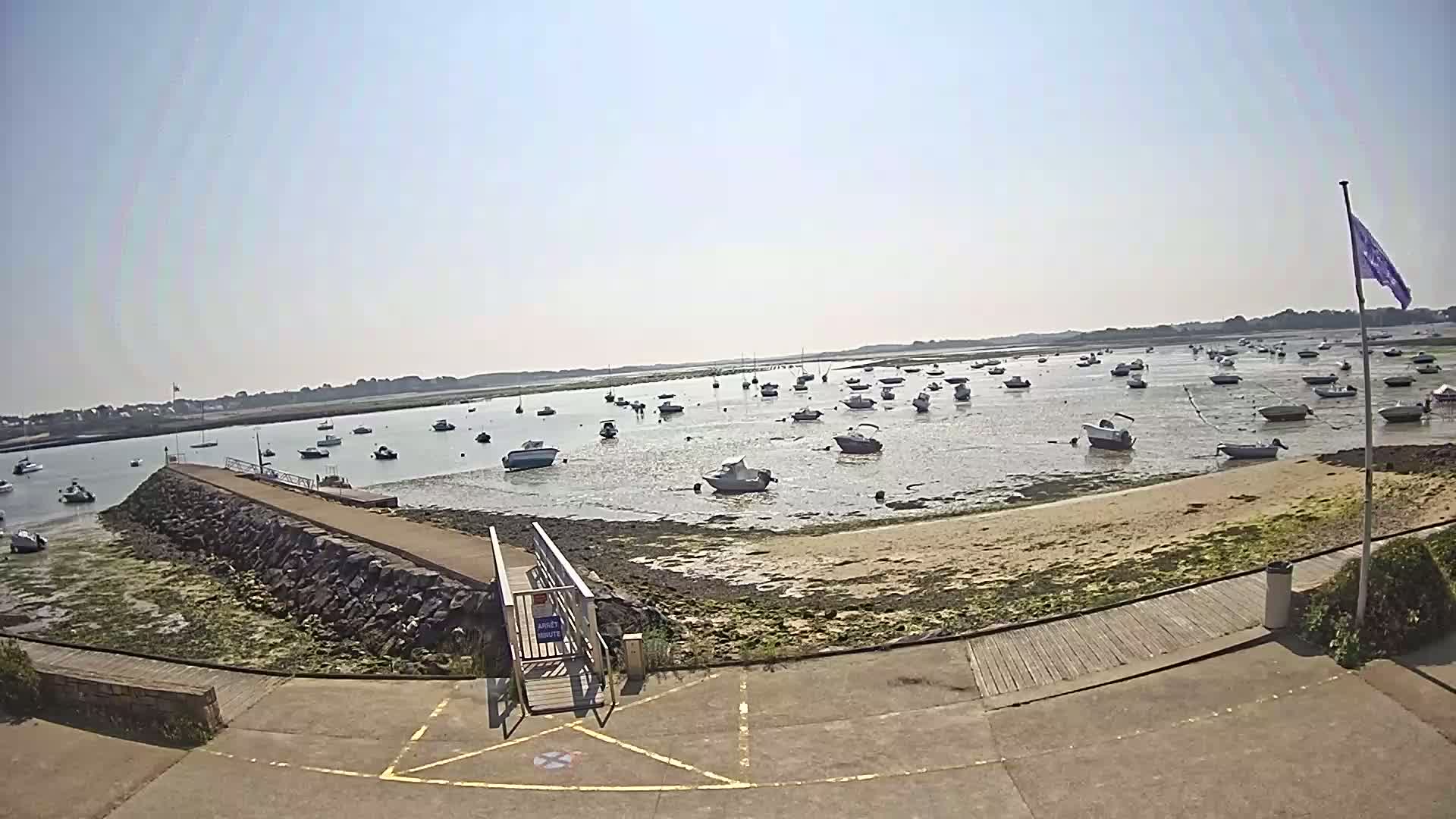 Numerous small boats are moored in calm, shallow water near a sandy beach on a sunny day.