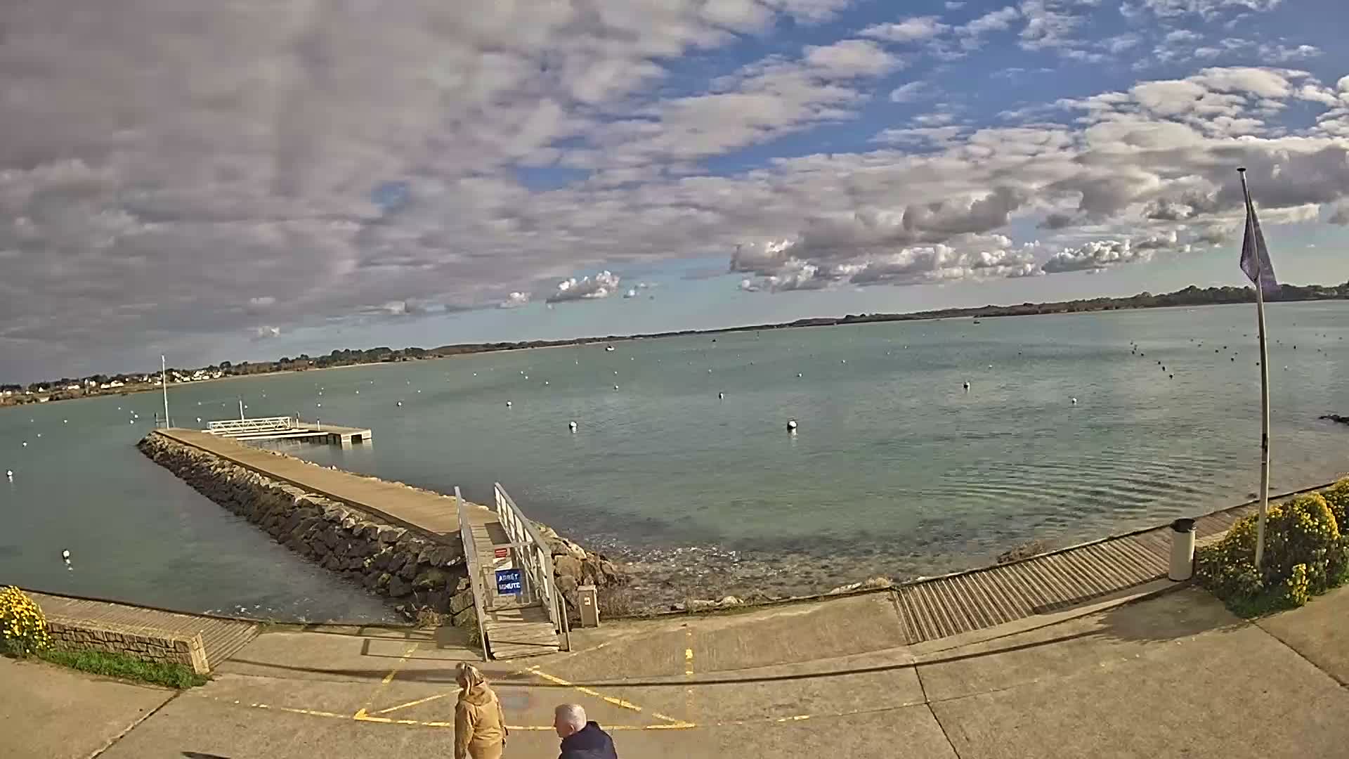 Many boats are moored in a calm harbor at low tide under a partly cloudy, pale pink and blue sky.