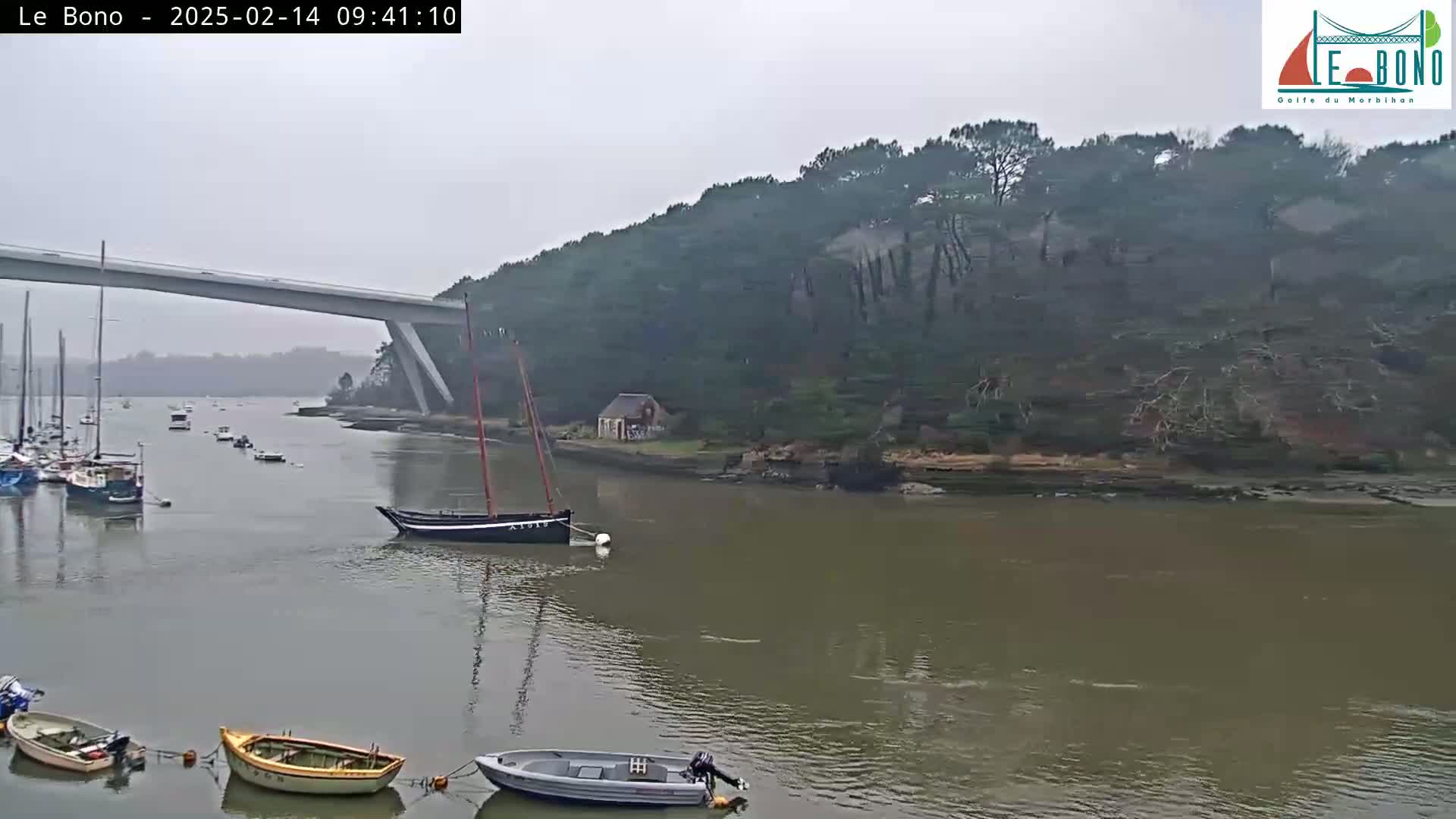 Several boats are moored in calm, murky water beneath a long bridge, with a wooded hillside visible in the background under an overcast sky.