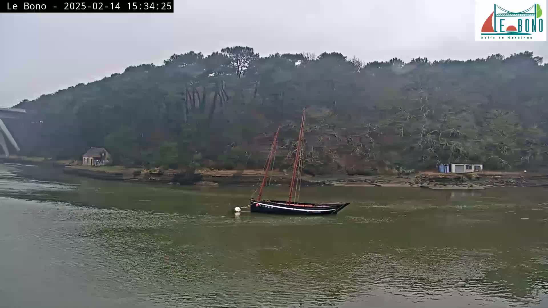 A dark-colored sailboat sits in calm, murky water near a wooded shoreline under an overcast sky.