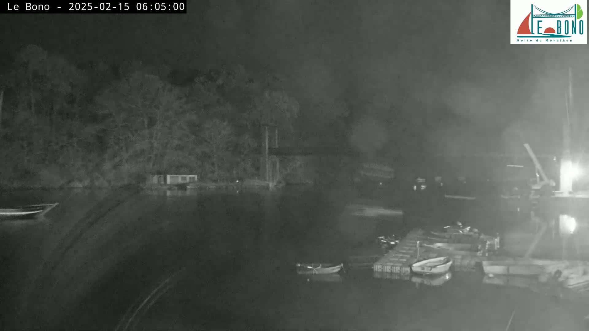 A nighttime, low-light image shows a dark body of water with several small boats moored near a shoreline with trees and a structure under a bridge.
