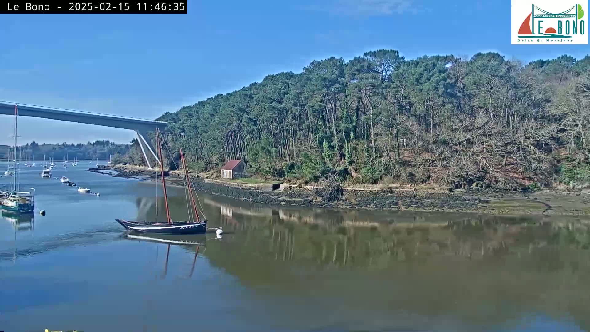 A calm river under a clear blue sky shows a sailboat near a wooded shoreline with a bridge in the background and several other boats further away.