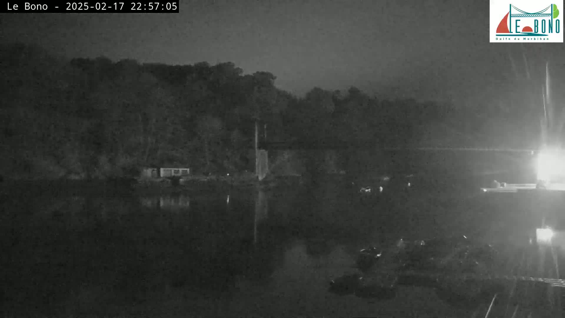 A nighttime, low-light view of a dark body of water reflecting a treeline and structures on the far shore under a cloudy sky.