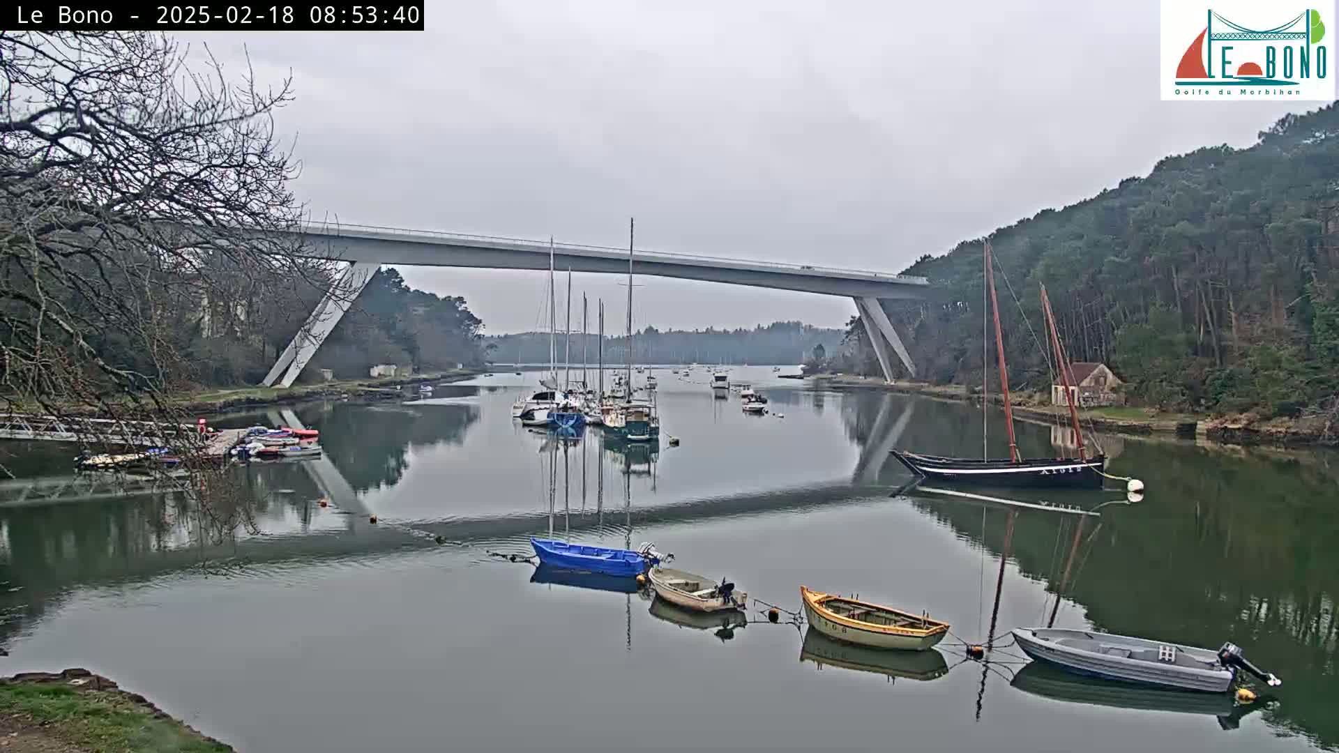 Several boats are moored in a calm waterway under a modern, high bridge on an overcast day.