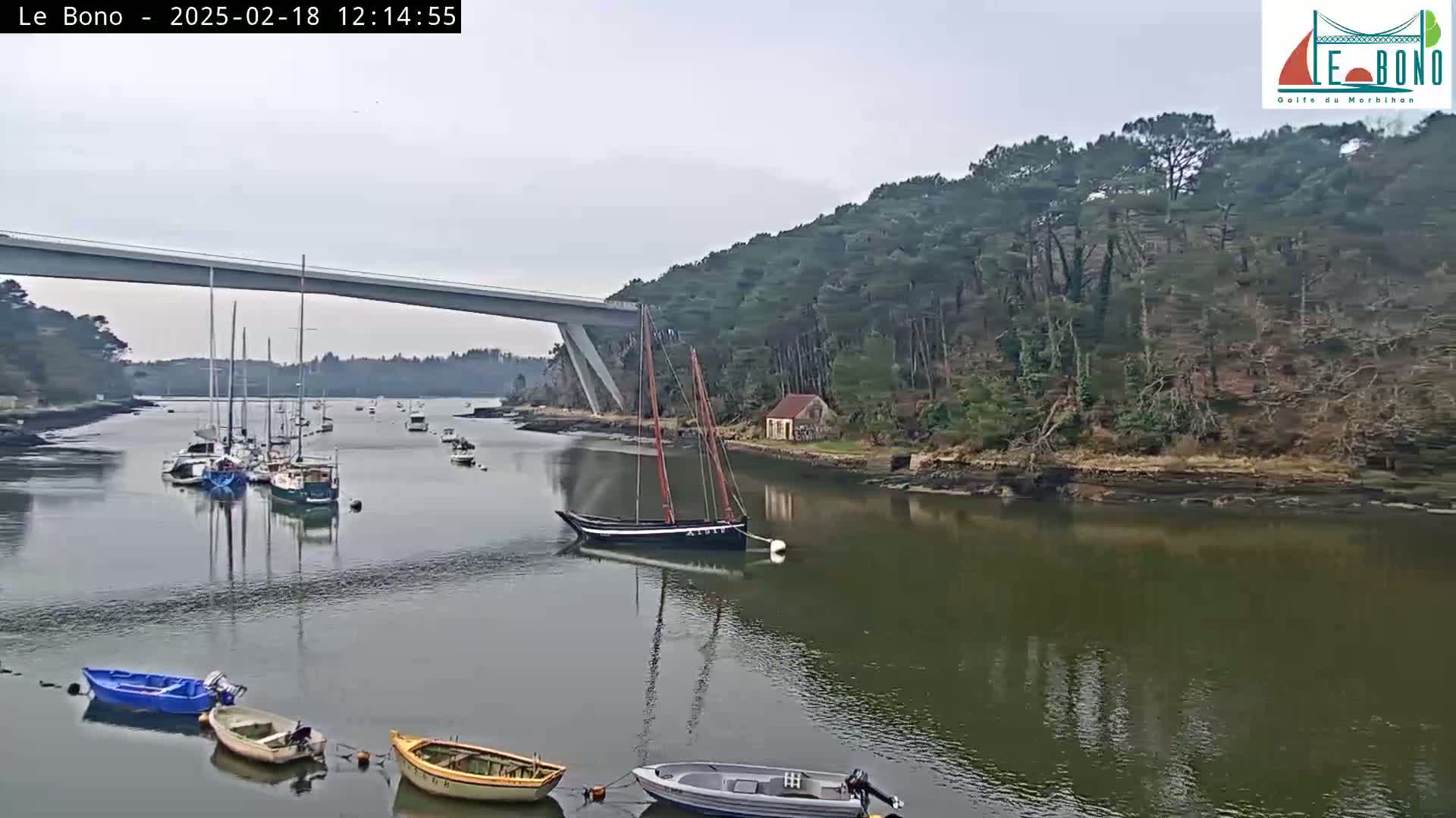 Several sailboats are moored in a calm river under an overcast sky, with a long bridge and wooded shoreline visible in the background.