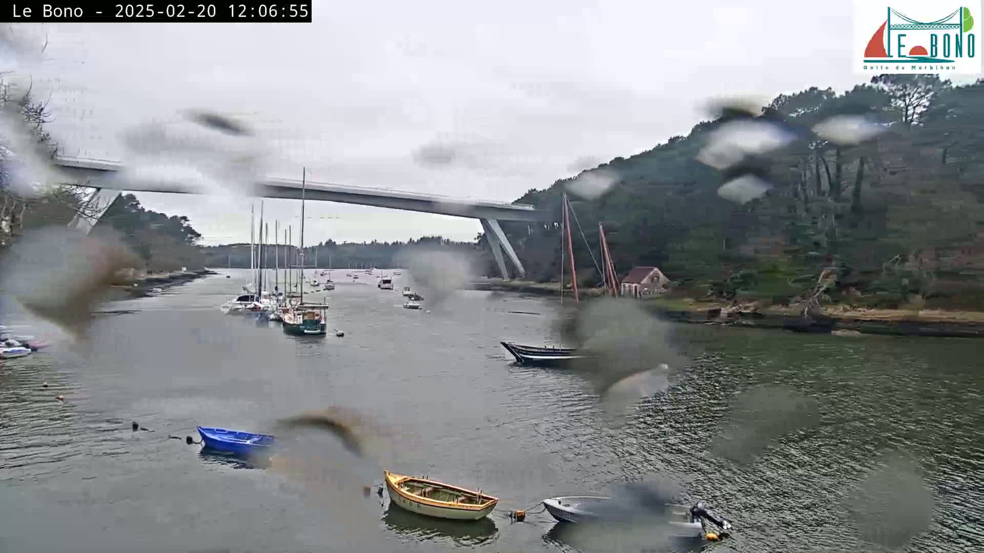 Rain falls on a waterway where several sailboats and small motorboats are moored, with a modern bridge spanning the background.