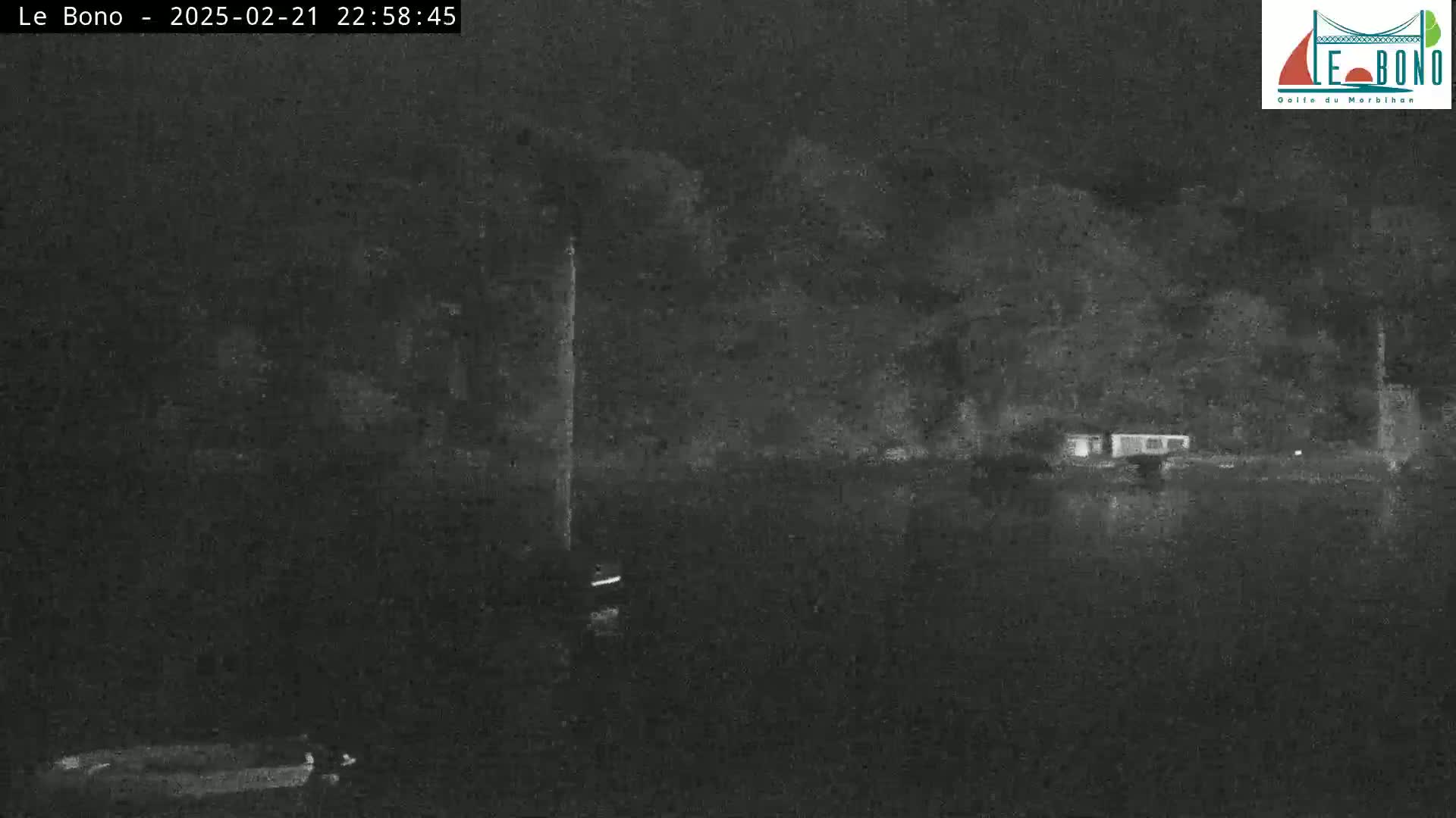 A nighttime, low-light image shows dark trees and a body of still water in the foreground.