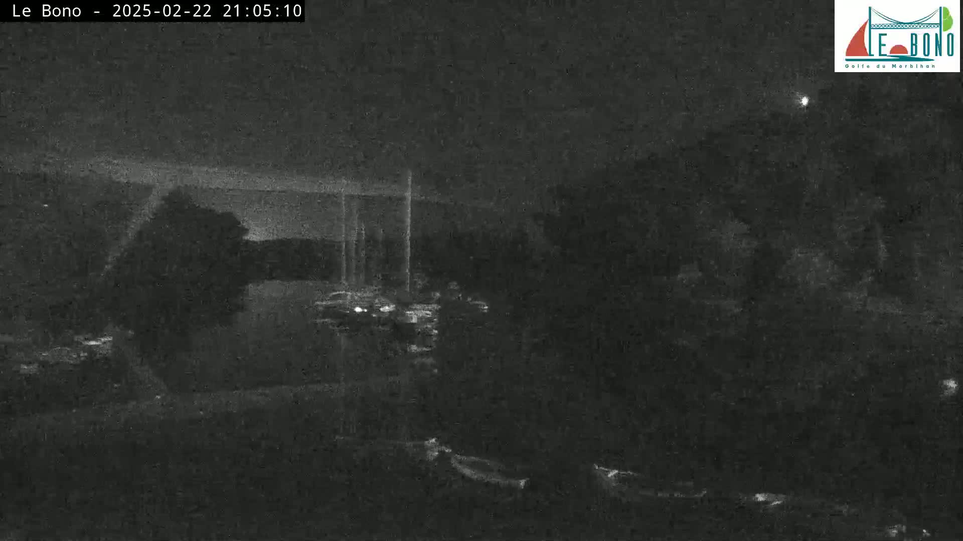 A nighttime, low-light image shows a dark body of water and trees under a mostly clear sky.