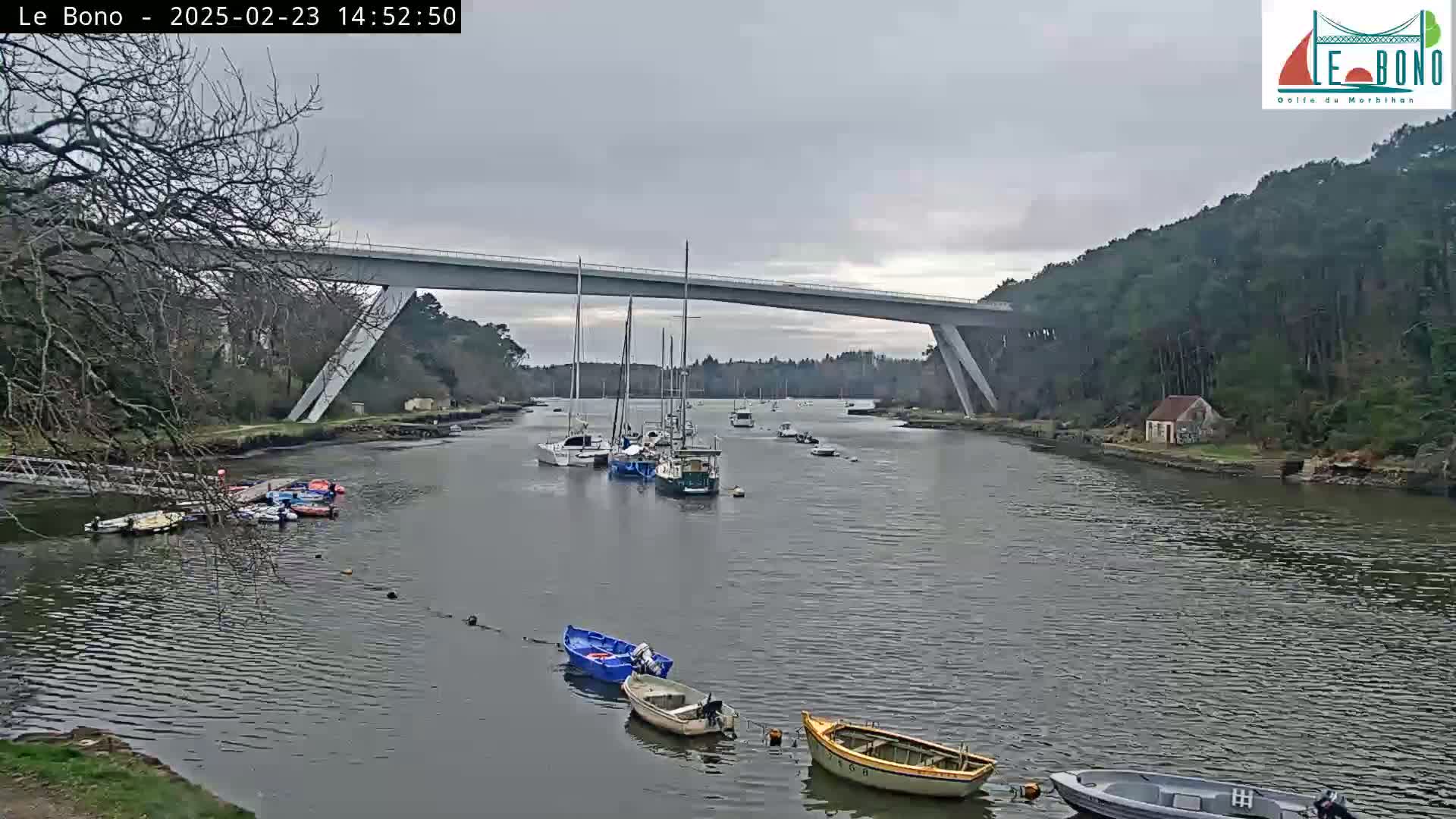 A long bridge spans a calm waterway where several sailboats and smaller motorboats are moored, under an overcast sky.