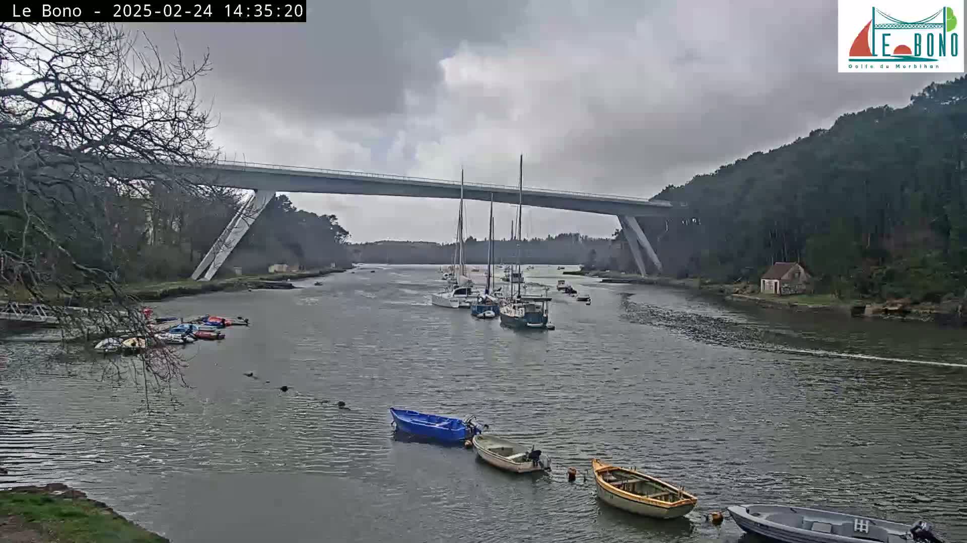 Several sailboats and small motorboats are moored in a calm river under a long, gray bridge on an overcast day.