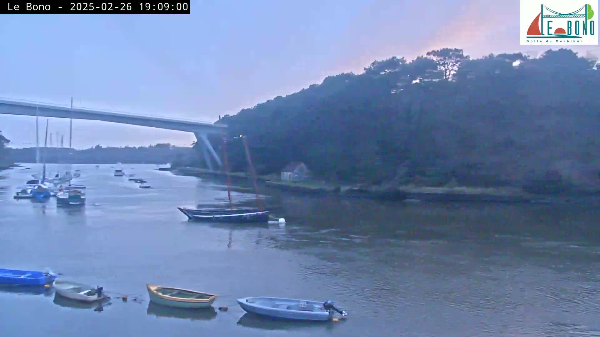 Several boats are moored in a calm body of water under a bridge, with a wooded hillside visible in the background under a twilight sky.