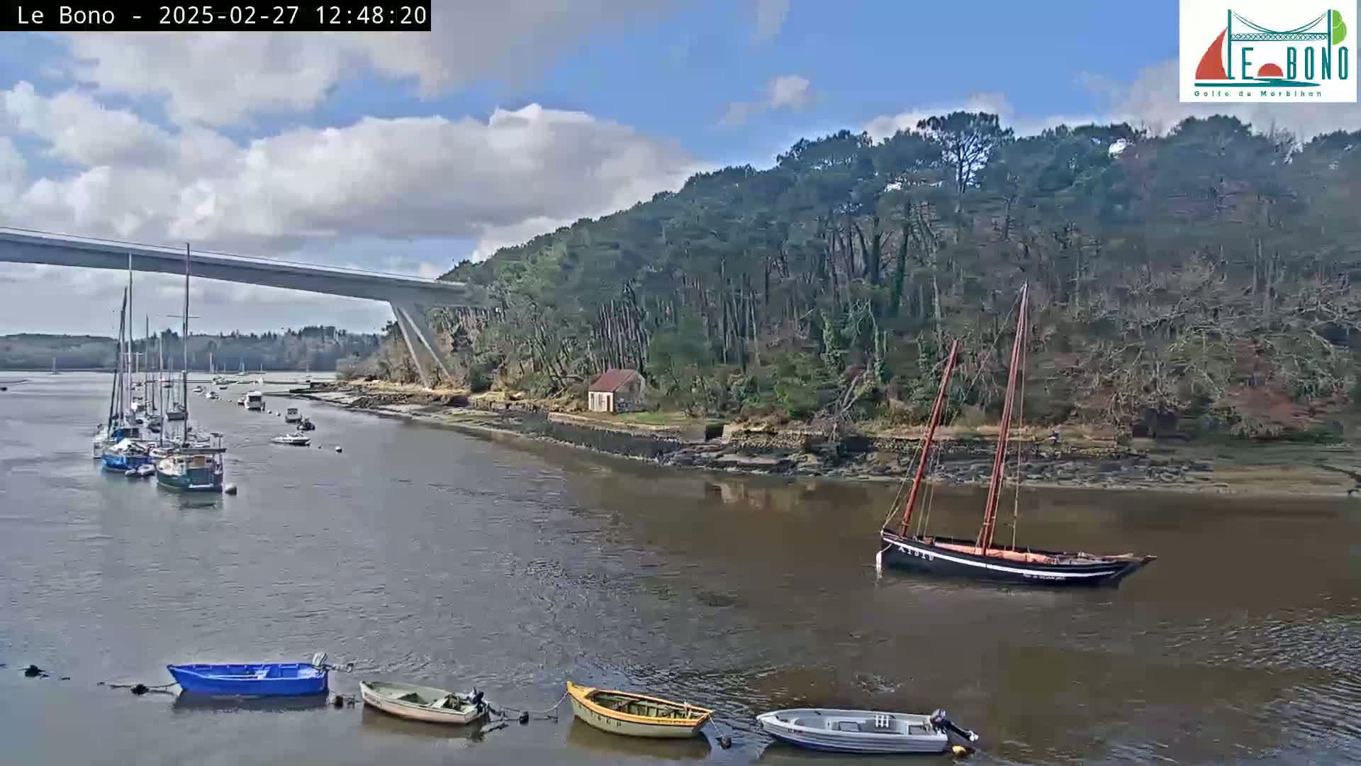 Several sailboats and small motorboats are moored in a calm river under a partly cloudy sky, with a bridge and a wooded hillside in the background.