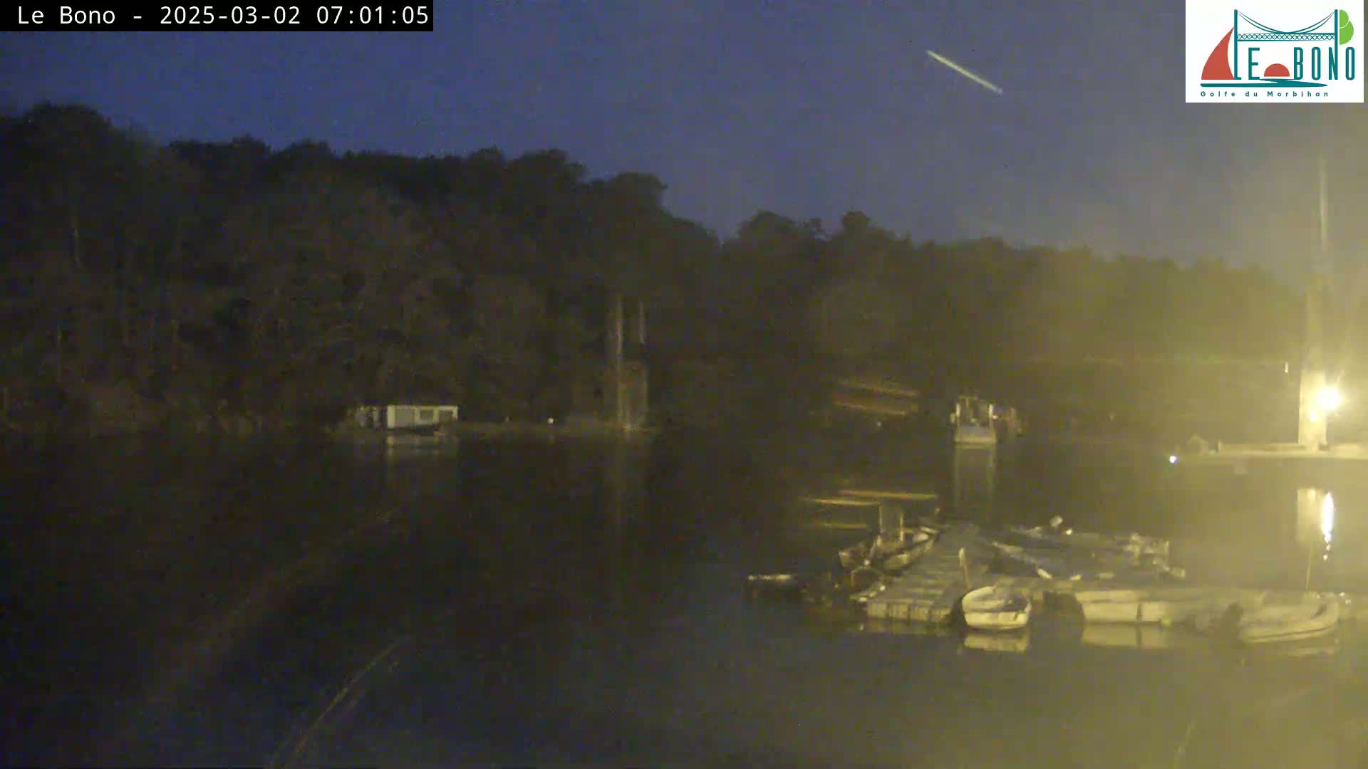 Under a dark, clear night sky, several small boats are moored at a dock next to a wooded shoreline.