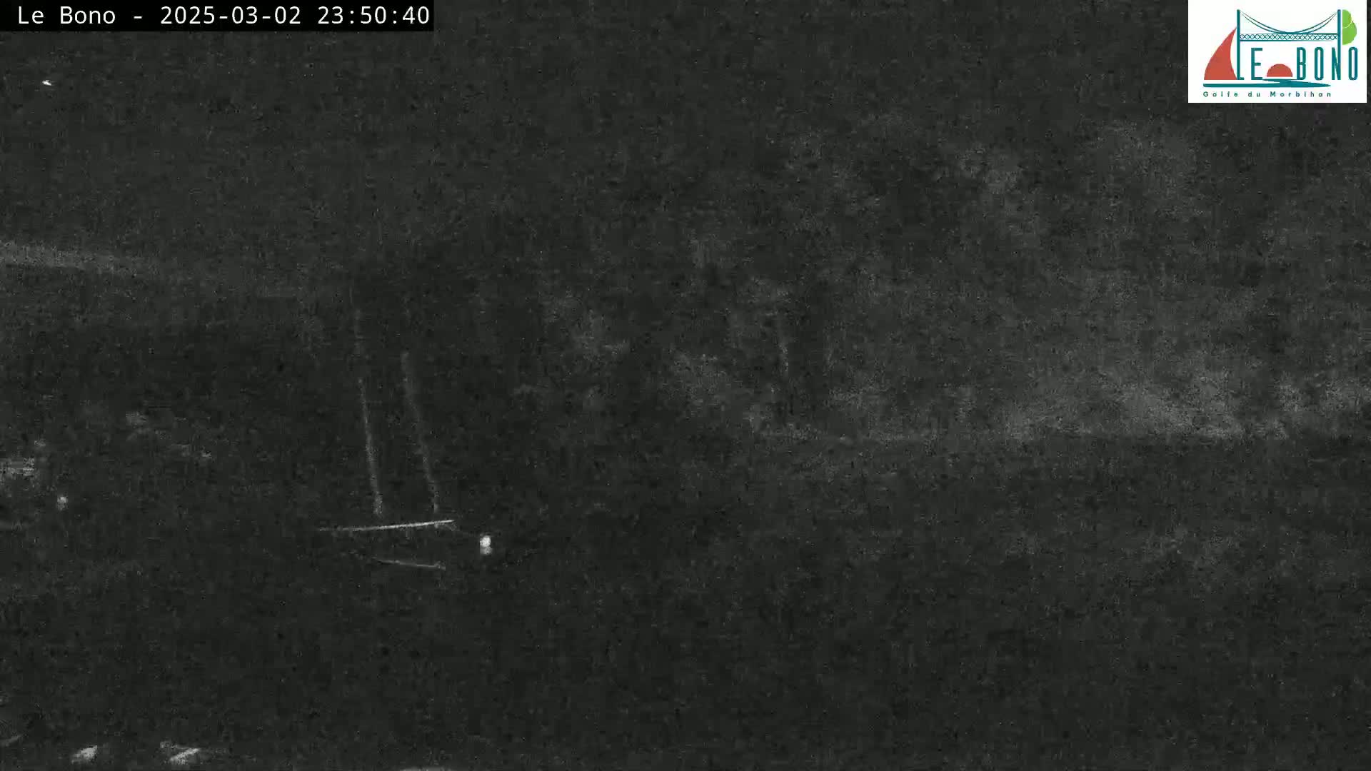 A dark, nighttime scene shows indistinct shapes of vegetation and possibly a vehicle under low-light conditions.