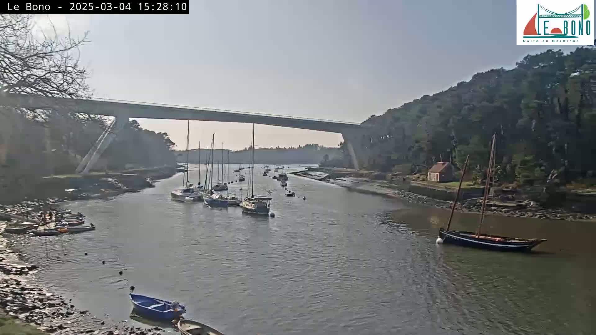 Under a mostly clear sky, a long bridge spans a waterway where numerous small sailboats are moored, and a larger sailboat sits near the shore.