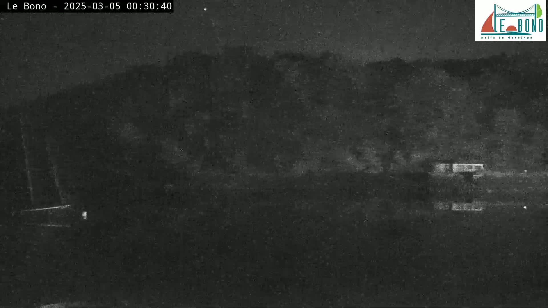 A nighttime, low-light image shows dark trees and a flat, dark area that may be water, with very little detail visible.