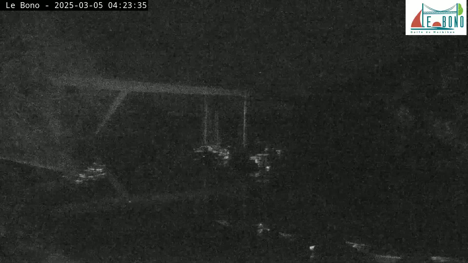 A low-light nighttime image shows a dark, possibly wooded area with a few faint lights visible in the distance.