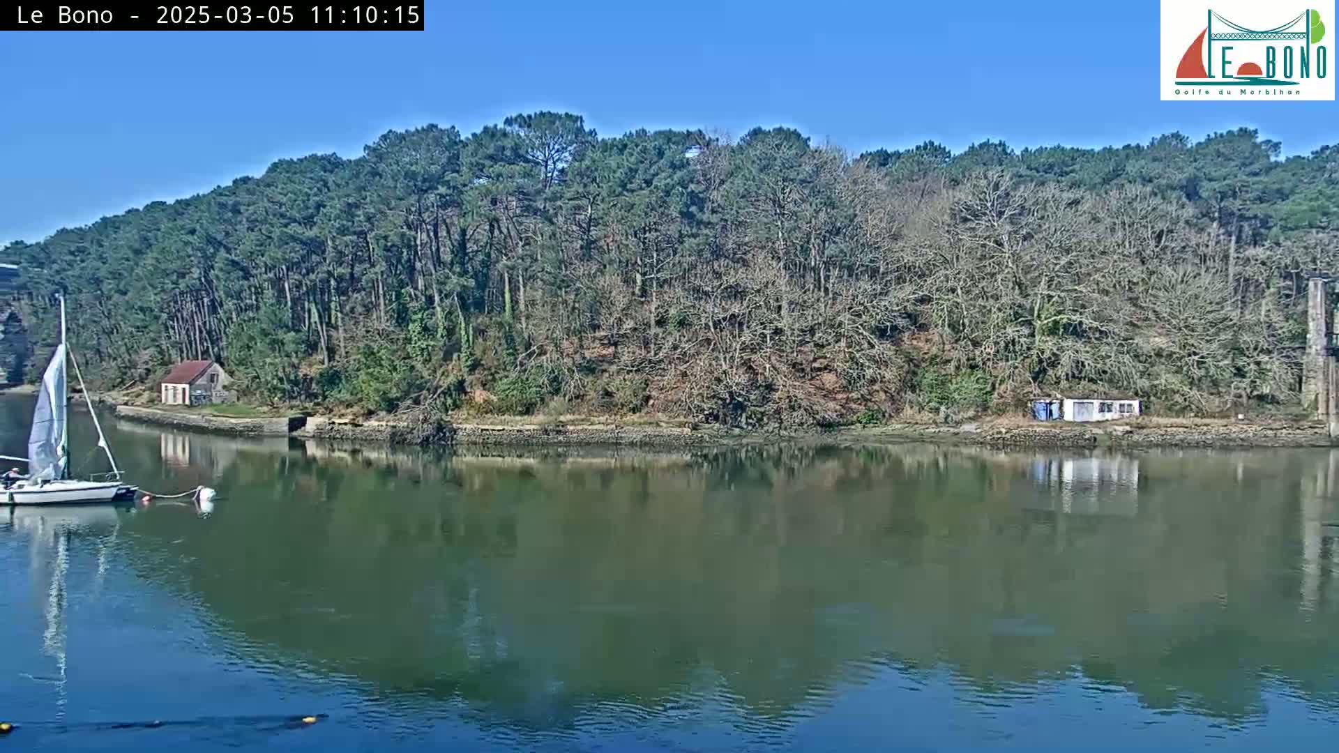 A sailboat is moored in calm water next to a wooded shoreline on a sunny day.