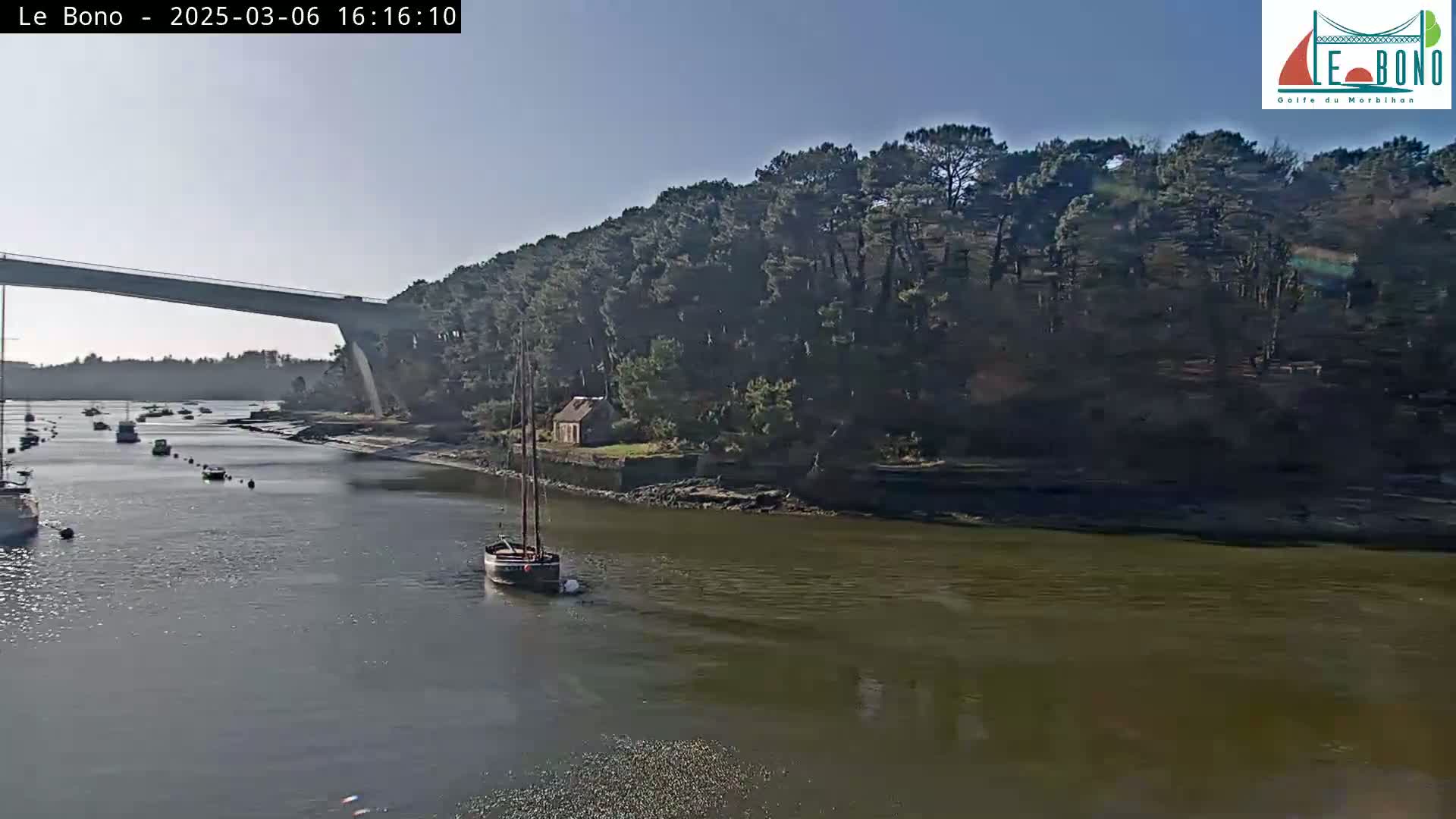 A sailboat is seen traveling on a calm body of water under a bridge, with several other boats in the distance and a wooded shoreline.