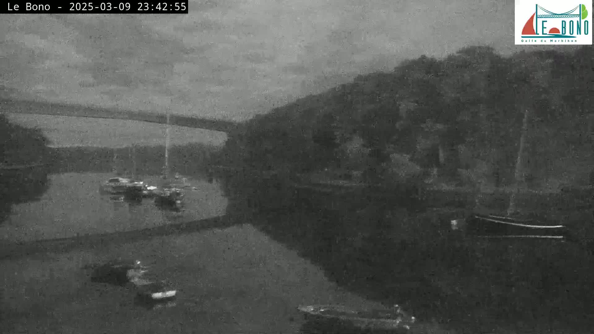 A nighttime, low-light view of a body of water with several boats moored near a wooded shoreline under a cloudy sky.