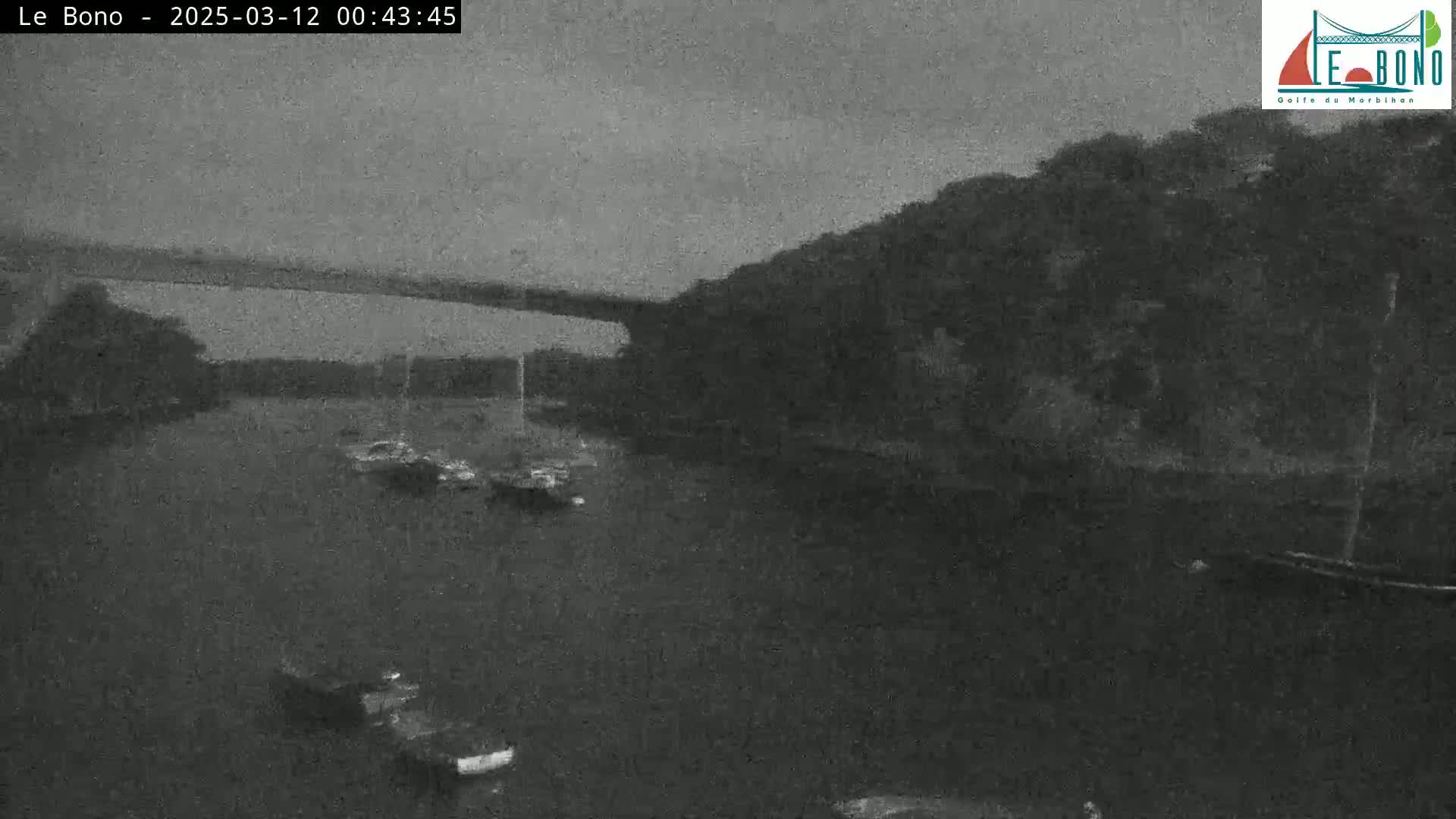 A nighttime, low-light image shows several boats moored in dark water under a bridge, with a dark, tree-covered shoreline visible in the background.