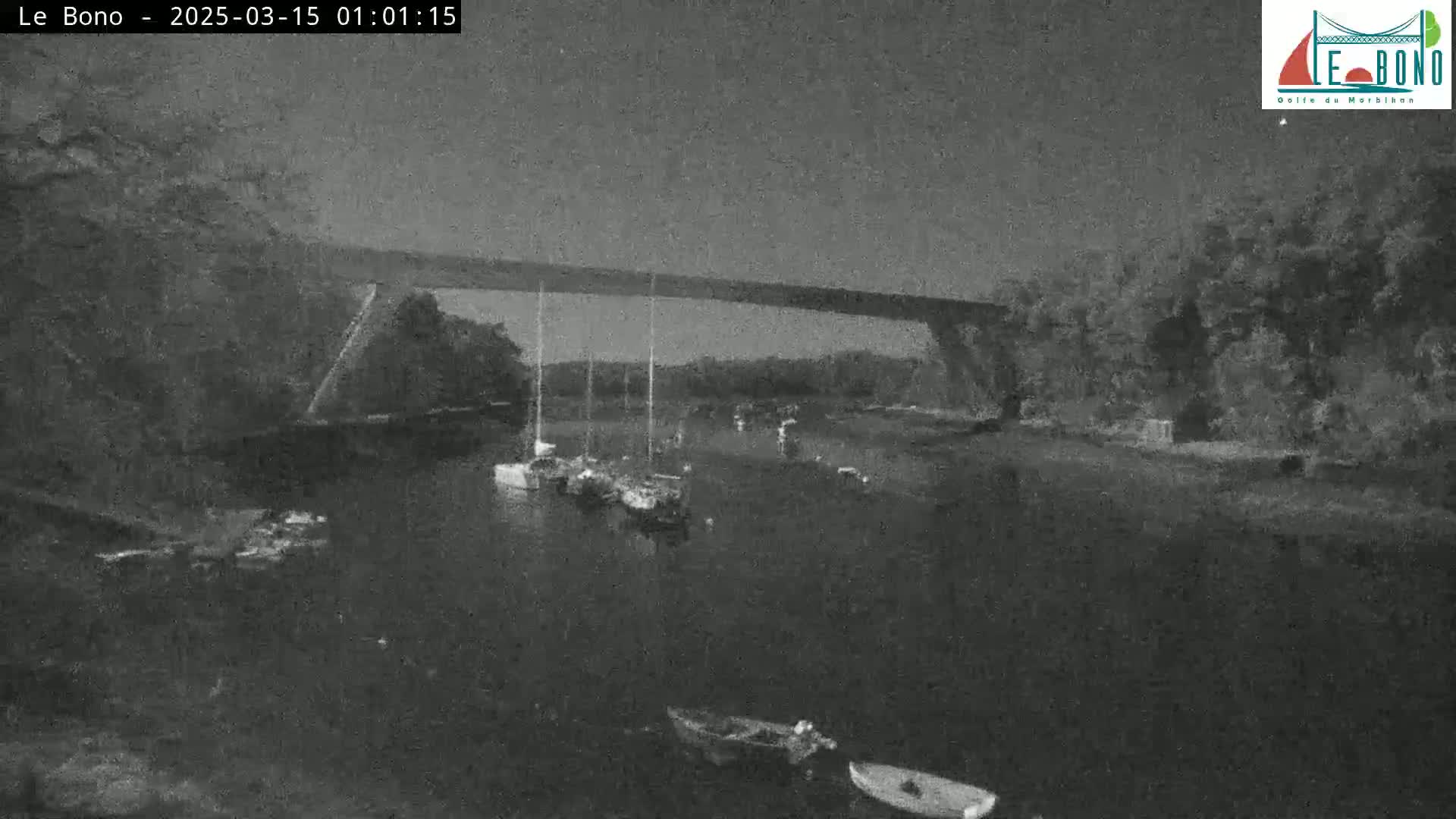 Several sailboats are moored under a bridge at night in calm water.