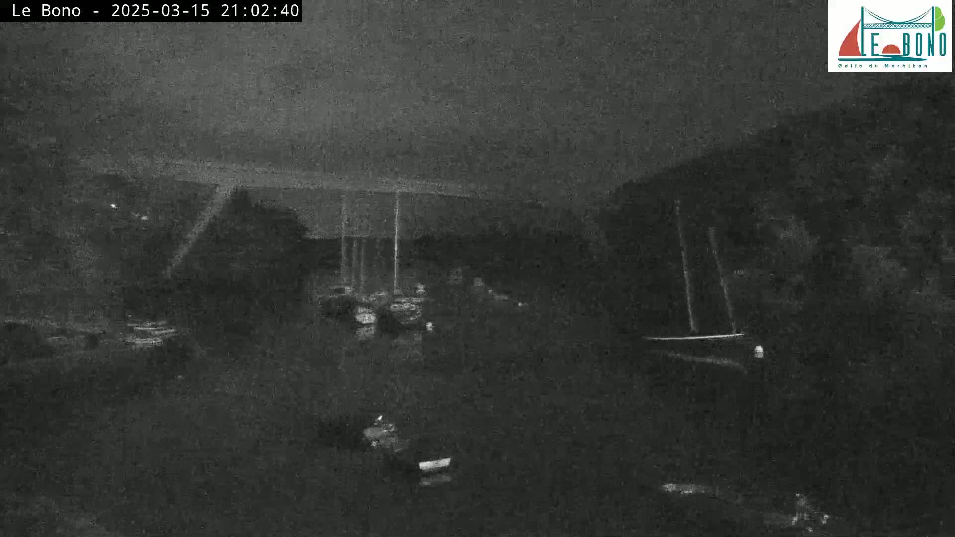 A nighttime, low-light view of a marina with several boats moored, under a dark sky.