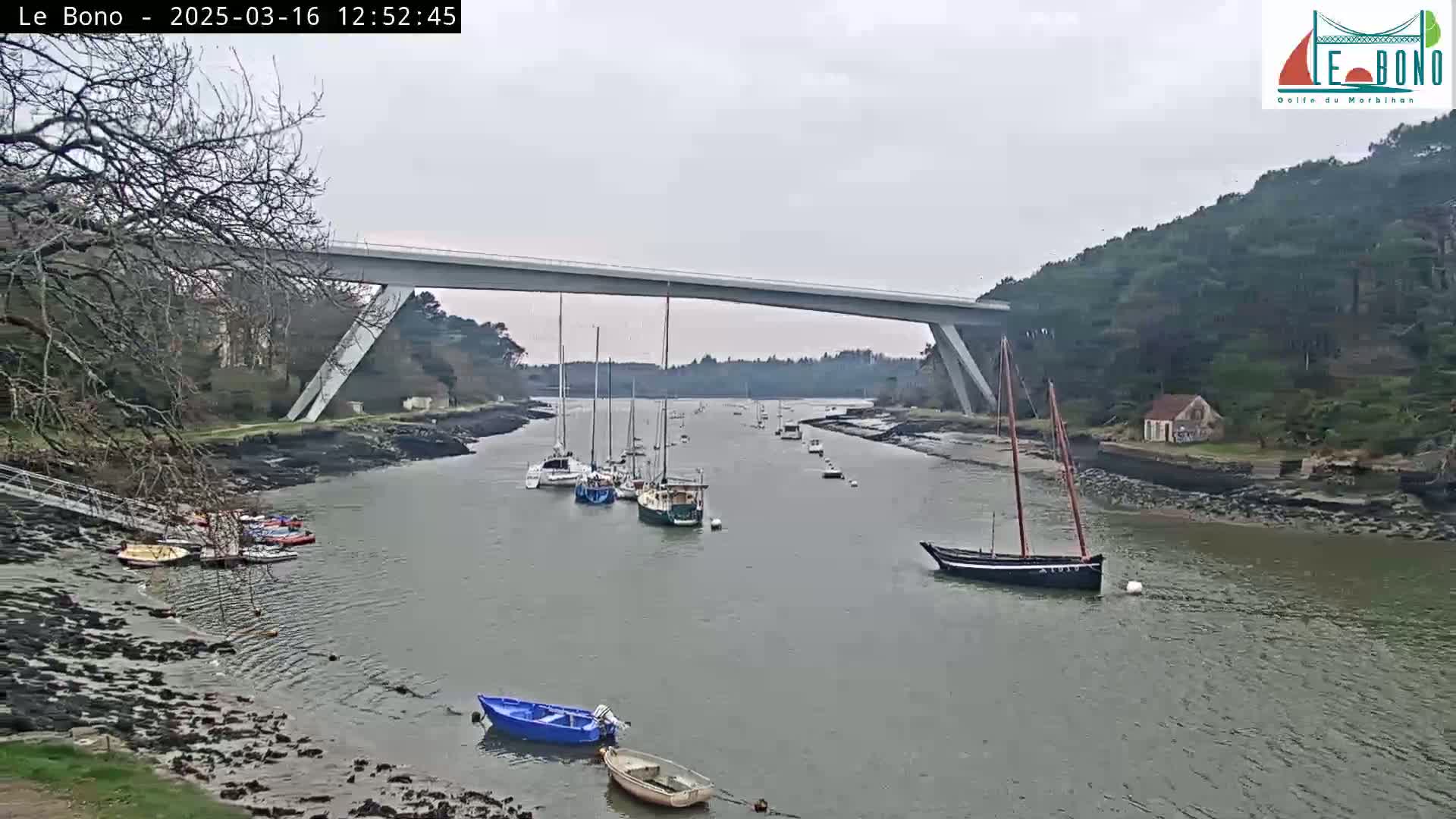 A gray day shows several sailboats moored in a waterway under a long, modern bridge, with trees and low buildings lining the banks.