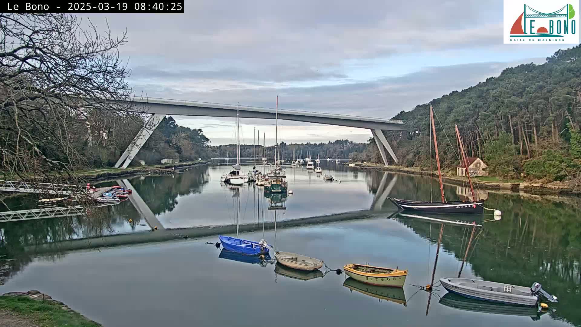 Several sailboats and small motorboats are moored in a calm river under a modern bridge on an overcast day.