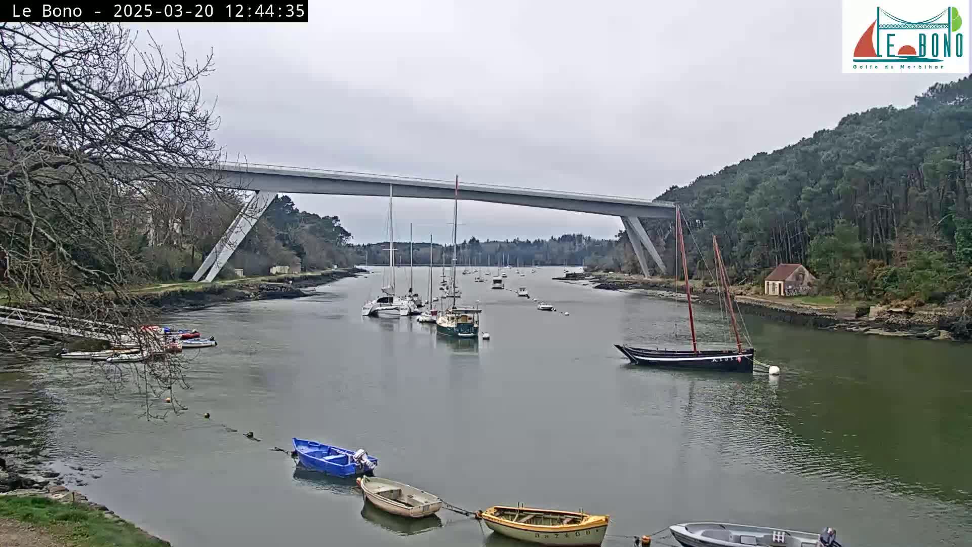 A calm, overcast day shows a waterway with numerous small boats moored and sailing under a long, modern bridge, surrounded by green trees and vegetation.