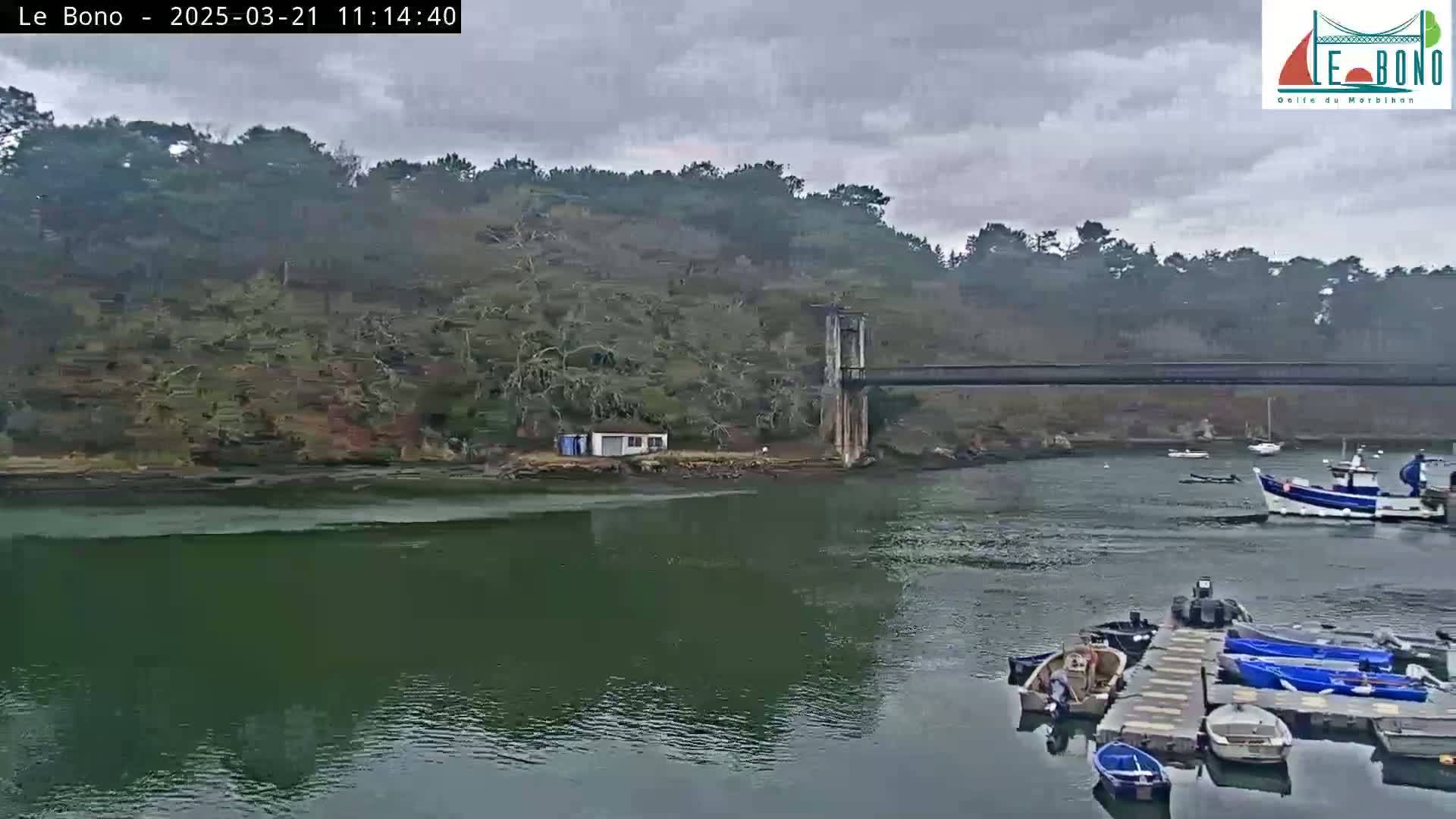 A calm, overcast day shows a body of water with several small boats moored at a dock near a wooded shoreline and a bridge.